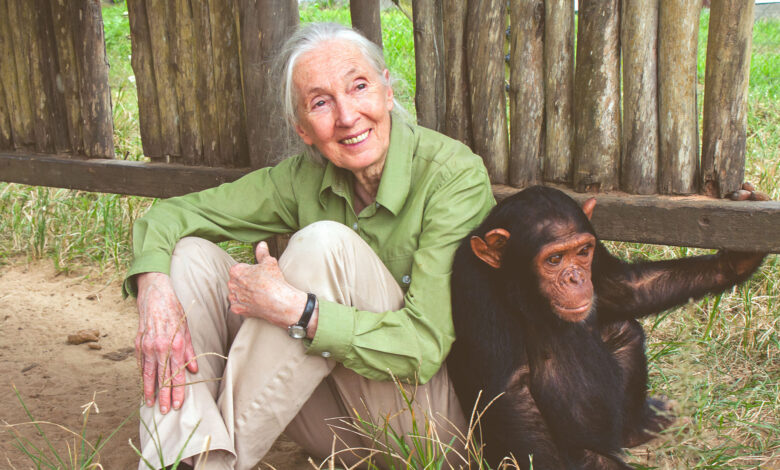Jane Goodall